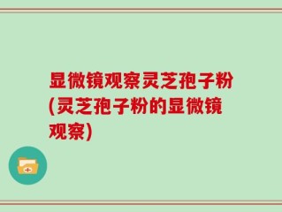 显微镜观察灵芝孢子粉(灵芝孢子粉的显微镜观察)