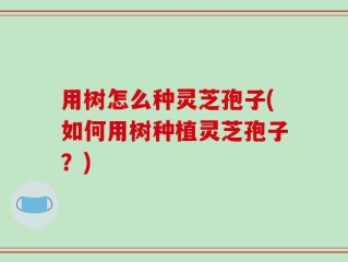 用树怎么种灵芝孢子(如何用树种植灵芝孢子？)