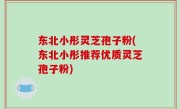 东北小彤灵芝孢子粉(东北小彤推荐优质灵芝孢子粉)