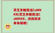 灵芝多糖激活CaMKKB(灵芝多糖激活CaMKKB，进而促进身体健康)