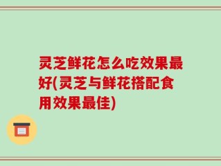 灵芝鲜花怎么吃效果最好(灵芝与鲜花搭配食用效果最佳)