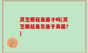 灵芝蘑菇是菌子吗(灵芝蘑菇是否属于真菌？)