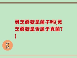 灵芝蘑菇是菌子吗(灵芝蘑菇是否属于真菌？)