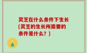 灵芝在什么条件下生长(灵芝的生长所需要的条件是什么？)