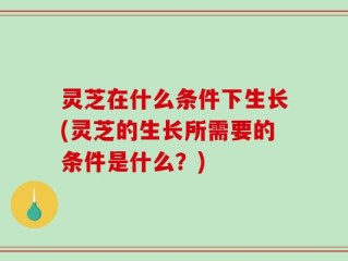 灵芝在什么条件下生长(灵芝的生长所需要的条件是什么？)