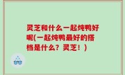 灵芝和什么一起炖鸭好呢(一起炖鸭最好的搭档是什么？灵芝！)