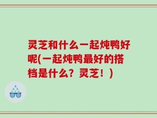 灵芝和什么一起炖鸭好呢(一起炖鸭最好的搭档是什么？灵芝！)