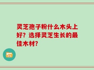 灵芝孢子粉什么木头上好？选择灵芝生长的最佳木材？