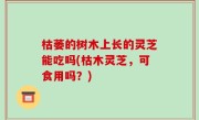 枯萎的树木上长的灵芝能吃吗(枯木灵芝，可食用吗？)