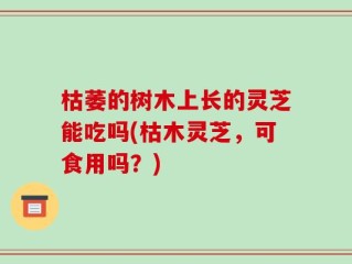 枯萎的树木上长的灵芝能吃吗(枯木灵芝，可食用吗？)