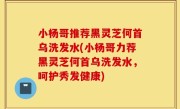 小杨哥推荐黑灵芝何首乌洗发水(小杨哥力荐黑灵芝何首乌洗发水，呵护秀发健康)