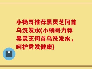 小杨哥推荐黑灵芝何首乌洗发水(小杨哥力荐黑灵芝何首乌洗发水，呵护秀发健康)