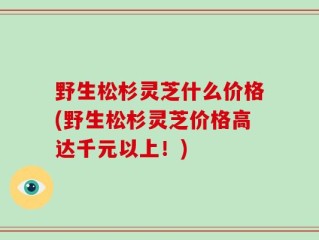 野生松杉灵芝什么价格(野生松杉灵芝价格高达千元以上！)