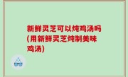 新鲜灵芝可以炖鸡汤吗(用新鲜灵芝炖制美味鸡汤)