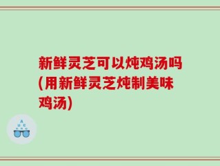 新鲜灵芝可以炖鸡汤吗(用新鲜灵芝炖制美味鸡汤)