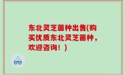 东北灵芝菌种出售(购买优质东北灵芝菌种，欢迎咨询！)
