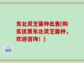 东北灵芝菌种出售(购买优质东北灵芝菌种，欢迎咨询！)