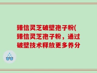 臻信灵芝破壁孢子粉(臻信灵芝孢子粉，通过破壁技术释放更多养分