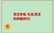 灵芝养殖 方法(灵芝的种植技巧)