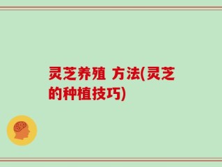 灵芝养殖 方法(灵芝的种植技巧)