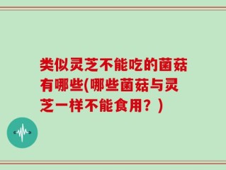 类似灵芝不能吃的菌菇有哪些(哪些菌菇与灵芝一样不能食用？)