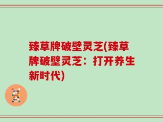 臻草牌破壁灵芝(臻草牌破壁灵芝：打开养生新时代)