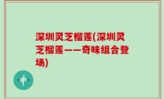 深圳灵芝榴莲(深圳灵芝榴莲——奇味组合登场)