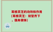 葛根灵芝的功效和作用(葛根灵芝：双管齐下，强身健体)