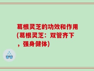 葛根灵芝的功效和作用(葛根灵芝：双管齐下，强身健体)