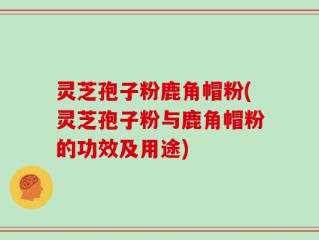 灵芝孢子粉鹿角帽粉(灵芝孢子粉与鹿角帽粉的功效及用途)
