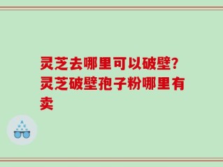灵芝去哪里可以破壁？灵芝破壁孢子粉哪里有卖
