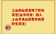 上山找山货发现了野生灵芝(山中珍宝！新人上山寻觅山货意外收获野生灵芝)