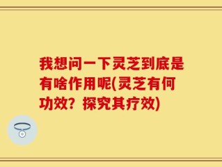 我想问一下灵芝到底是有啥作用呢(灵芝有何功效？探究其疗效)