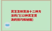 灵芝怎样煲汤十二种方法窍门(12种灵芝煲汤的技巧和秘籍)
