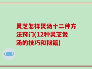 灵芝怎样煲汤十二种方法窍门(12种灵芝煲汤的技巧和秘籍)