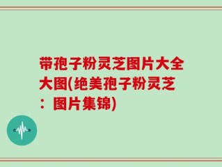带孢子粉灵芝图片大全大图(绝美孢子粉灵芝：图片集锦)
