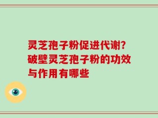 灵芝孢子粉促进代谢？破壁灵芝孢子粉的功效与作用有哪些