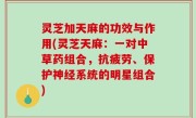 灵芝加天麻的功效与作用(灵芝天麻：一对中草药组合，抗疲劳、保护神经系统的明星组合)