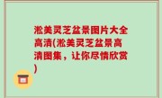 淞美灵芝盆景图片大全高清(淞美灵芝盆景高清图集，让你尽情欣赏)