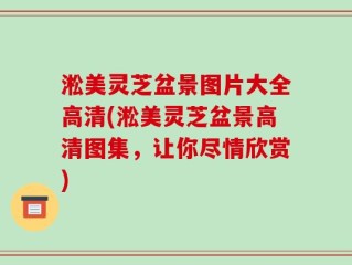 淞美灵芝盆景图片大全高清(淞美灵芝盆景高清图集，让你尽情欣赏)