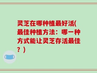 灵芝在哪种植最好活(最佳种植方法：哪一种方式能让灵芝存活最佳？)