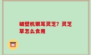 破壁机银耳灵芝？灵芝草怎么食用
