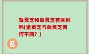 紫灵芝和血灵芝有区别吗(紫灵芝与血灵芝有何不同？)