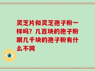 灵芝片和灵芝孢子粉一样吗？几百块的孢子粉跟几千块的孢子粉有什么不同