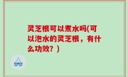 灵芝根可以煮水吗(可以泡水的灵芝根，有什么功效？)