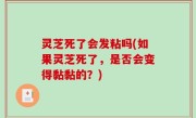 灵芝死了会发粘吗(如果灵芝死了，是否会变得黏黏的？)
