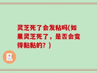 灵芝死了会发粘吗(如果灵芝死了，是否会变得黏黏的？)