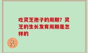 吃灵芝孢子的周期？灵芝的生长发育周期是怎样的