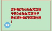 吉林蛟河长白山灵芝孢子粉(长白山灵芝孢子粉在吉林蛟河受到热捧)