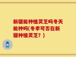 新疆能种植灵芝吗冬天能种吗(冬季可否在新疆种植灵芝？)